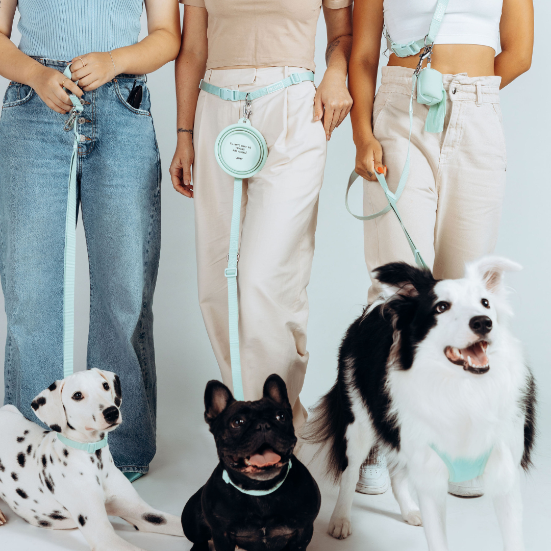 Lifestyle – LOMI Petcare