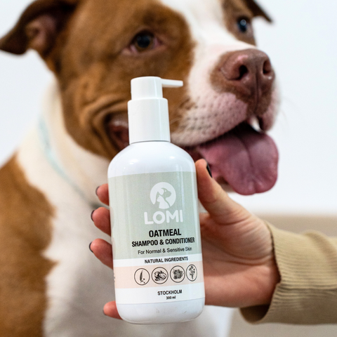 Gentle natural oat-based dog shampoo & conditioner