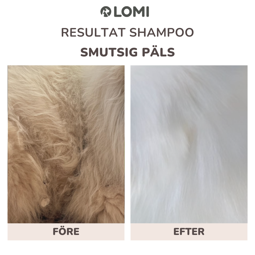 Gentle natural oat-based dog shampoo & conditioner