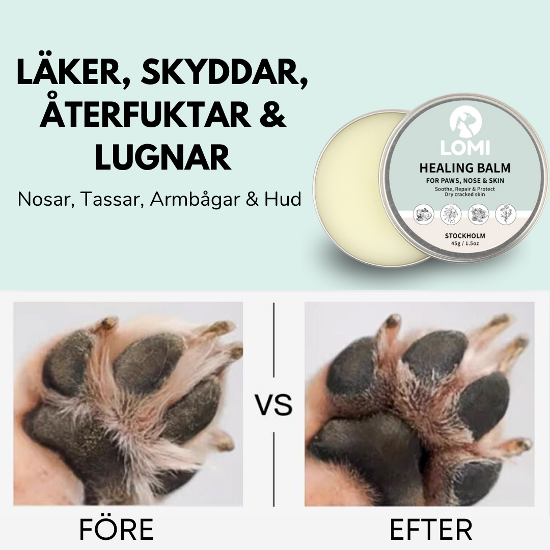 Healing Balm - Naturlig Tassalva för Hund & Katt