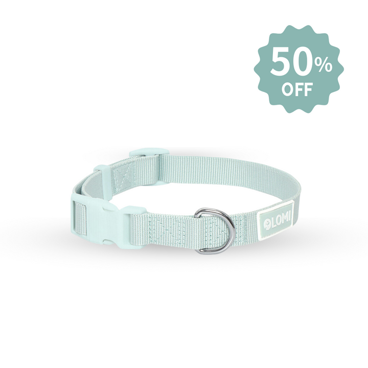 EcoComfort-hundhalsband