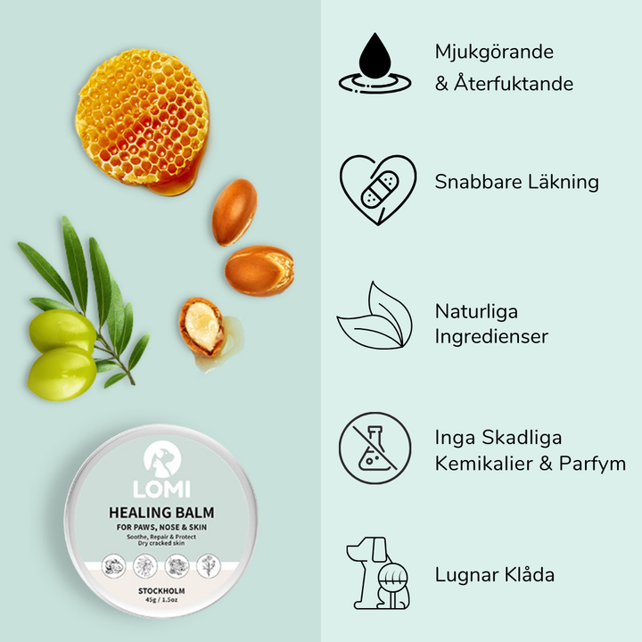 Healing Balm - Naturlig Tassalva för Hund & Katt