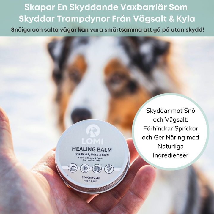 Healing Balm - Naturlig Tassalva för Hund & Katt