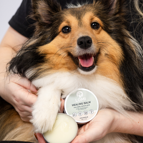 Healing Balm - Natural Healing Balm for Dogs & Cats