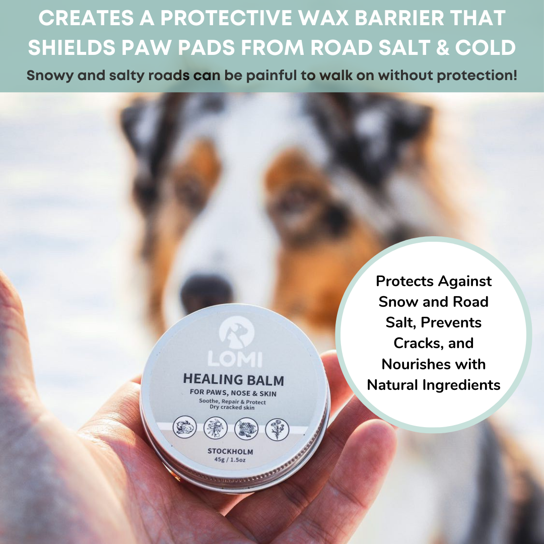 Healing Balm - Naturlig Tassalva för Hund & Katt