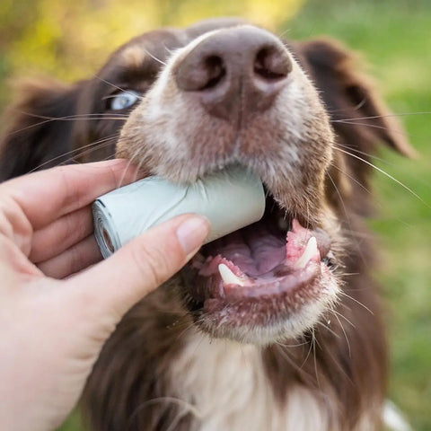 ENVIRONMENTALLY FRIENDLY DOG POOP BAGS 