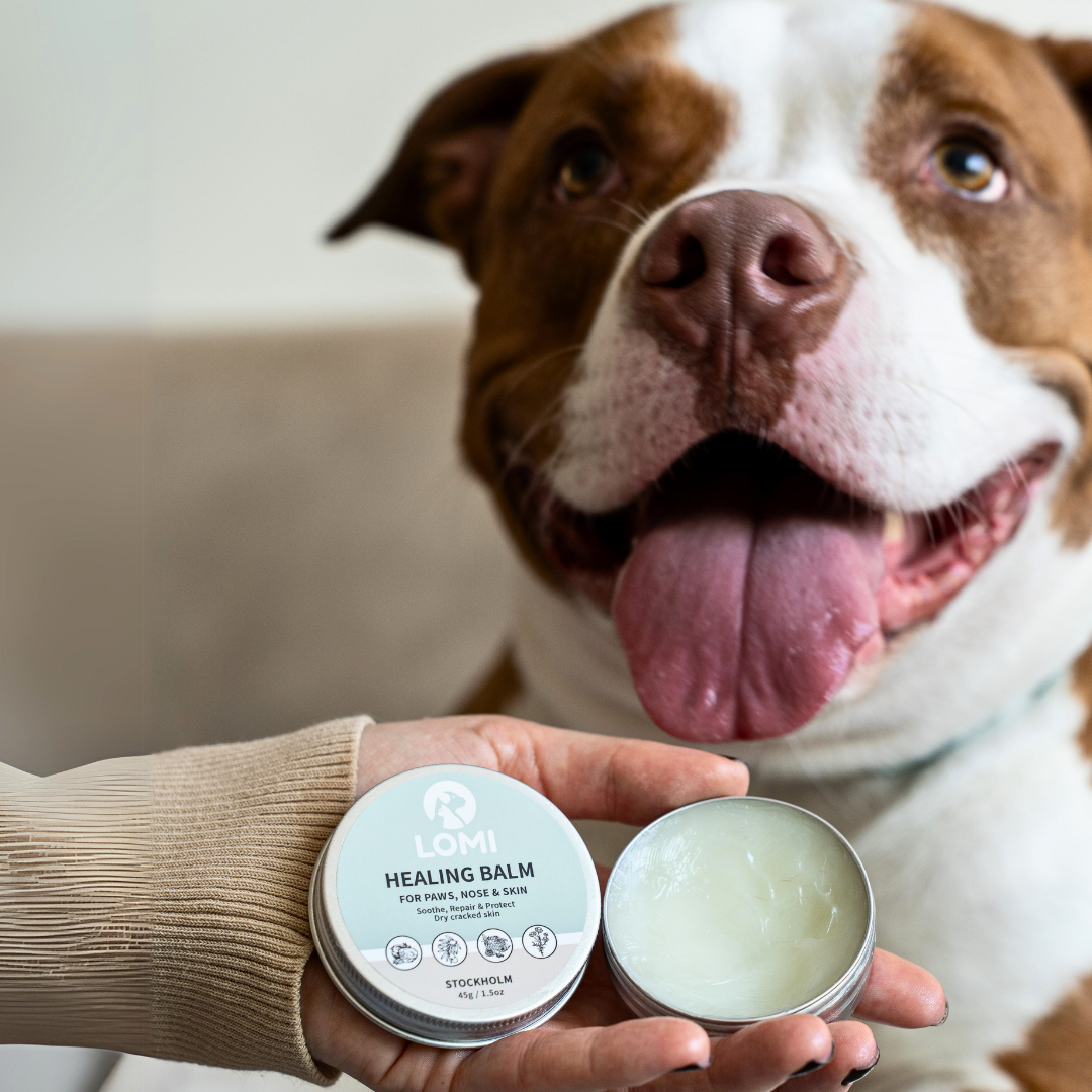 Healing Balm - Naturlig Tassalva för Hund & Katt