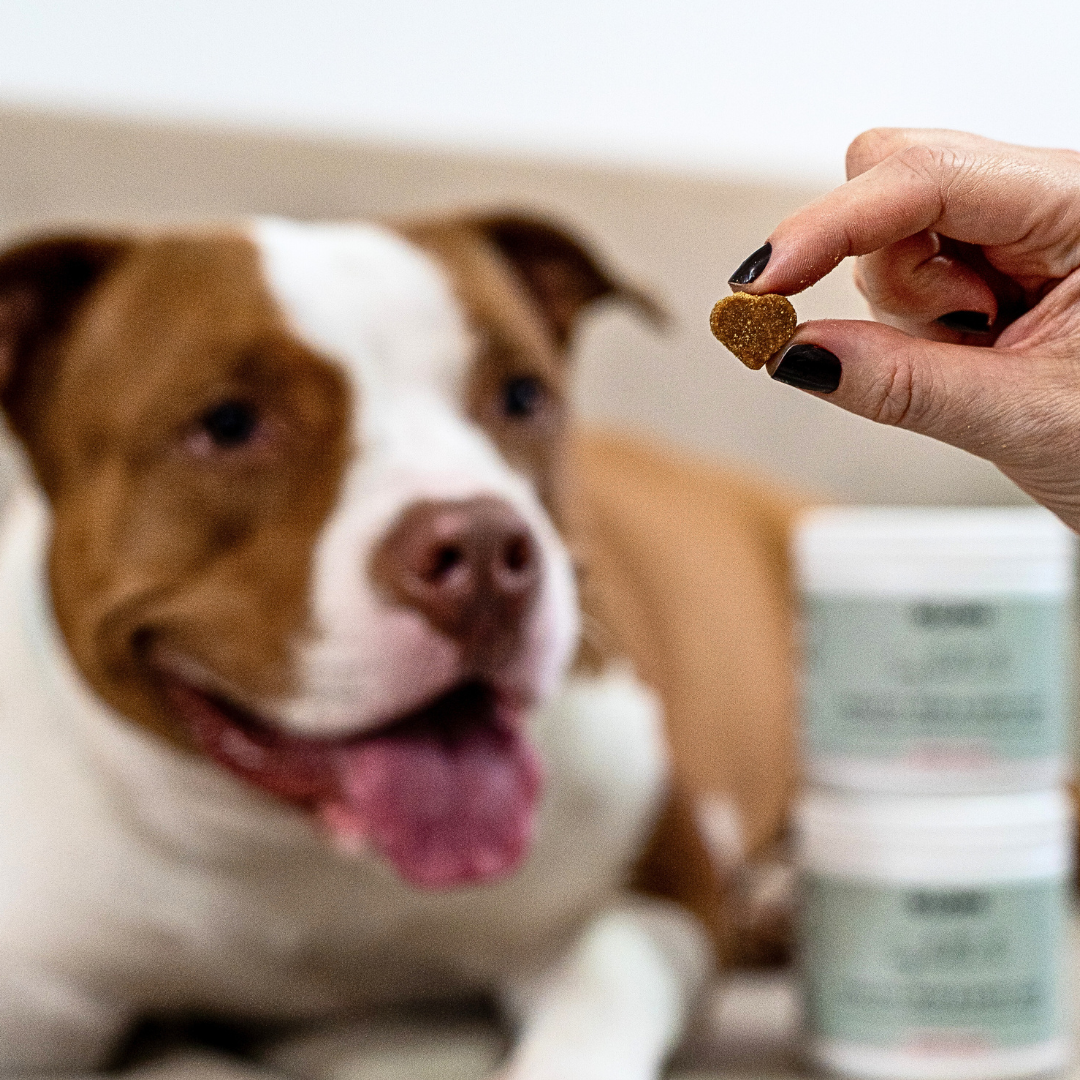 Functional Treats - Skin & Coat formula