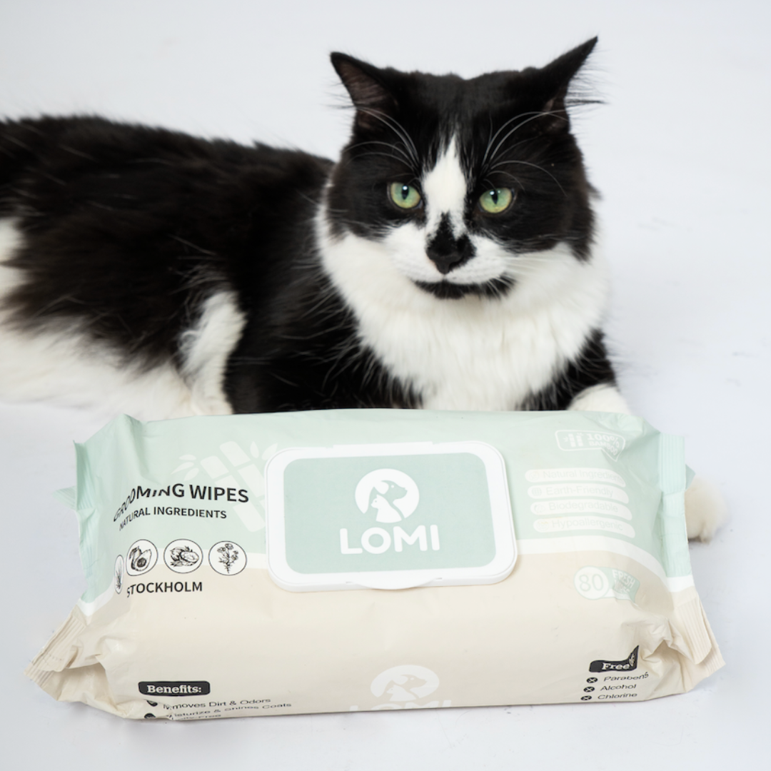 Wet tissue for cat deals