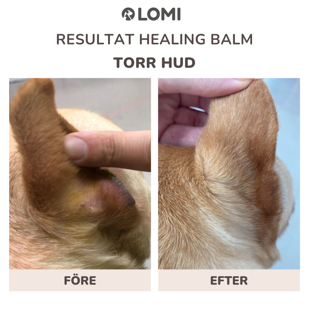 Healing Balm - Naturlig Tassalva för Hund & Katt