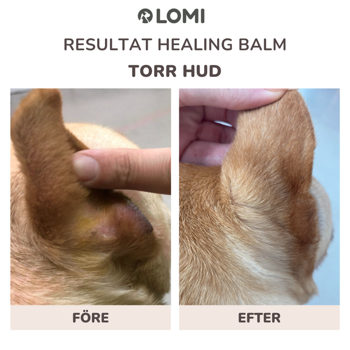 Healing Balm - Naturlig Tassalva för Hund & Katt