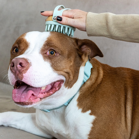 EcoZen- Bamboo brush for dog & cat