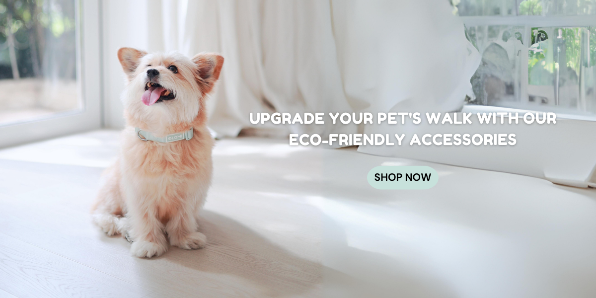 Pet care sales shop near me