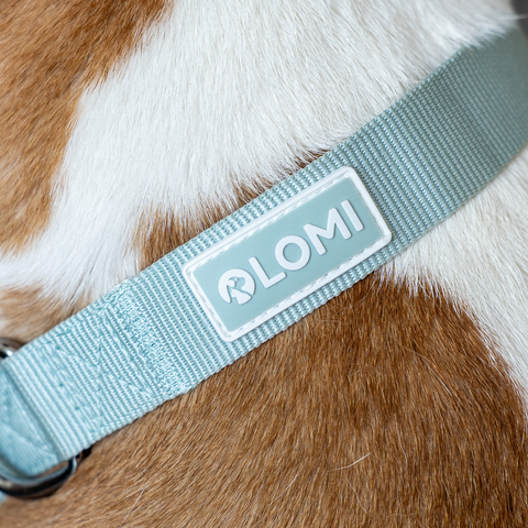 EcoComfort dog collar