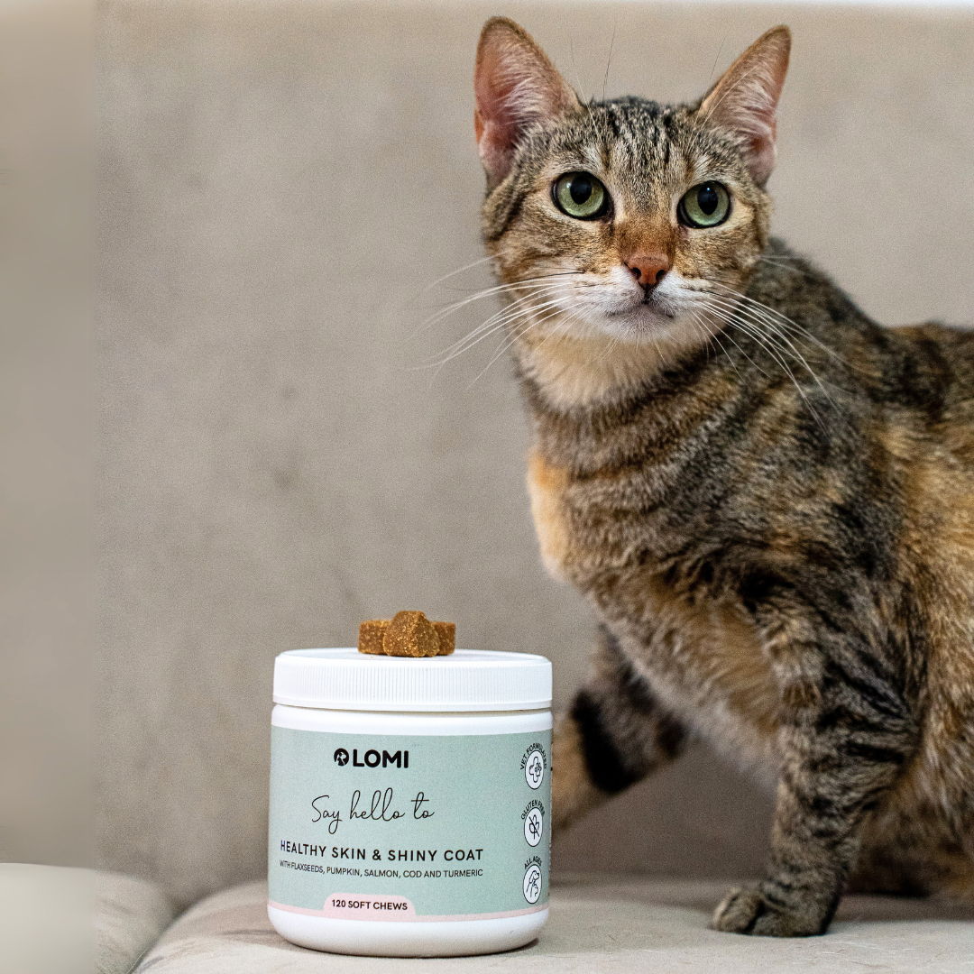 Functional Treats - Skin & Coat formula