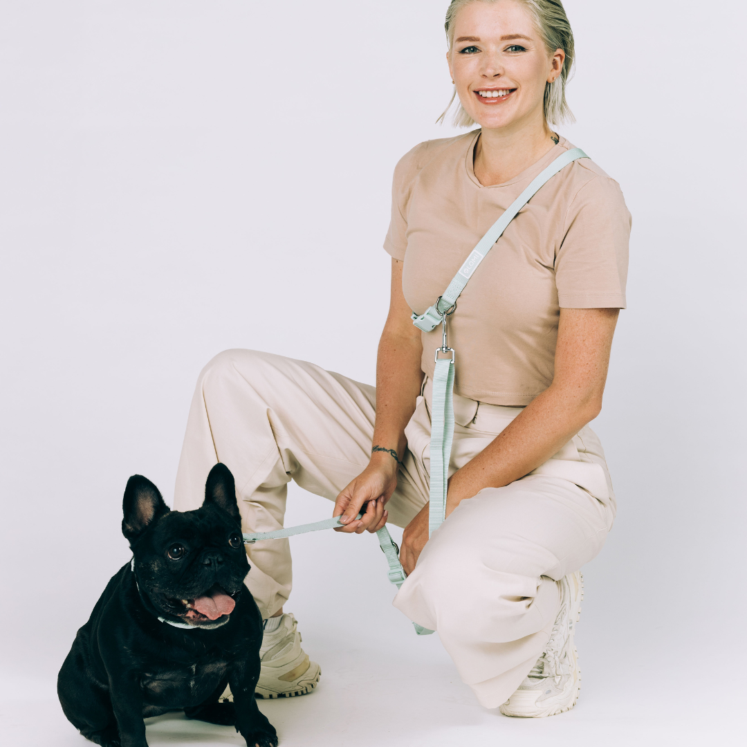 EcoComfort Hundhalsband & Multikoppel Set