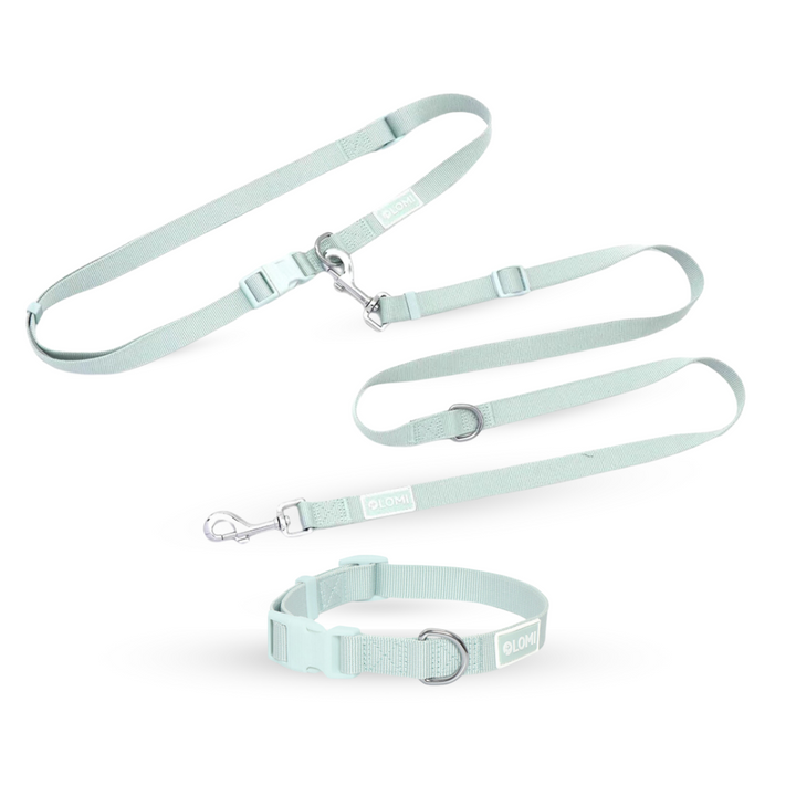 EcoComfort Hundhalsband & Multikoppel Set