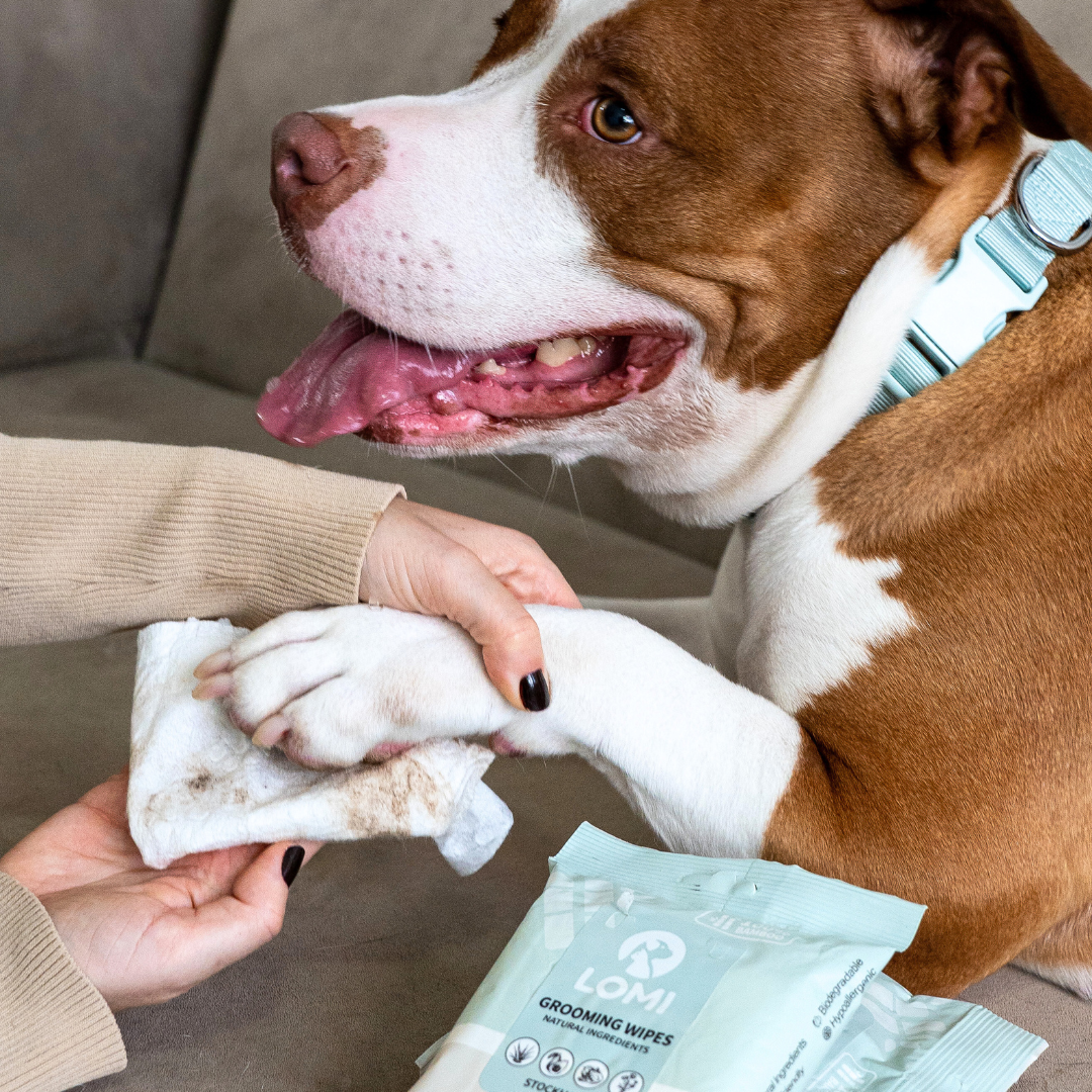 Aloe Vera & Chamomile wet wipes for Dogs & Cats - Premium Size