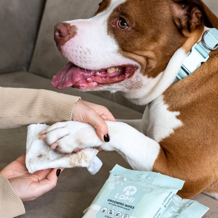 Aloe Vera & Chamomile wet wipes for Dogs & Cats - Premium Size