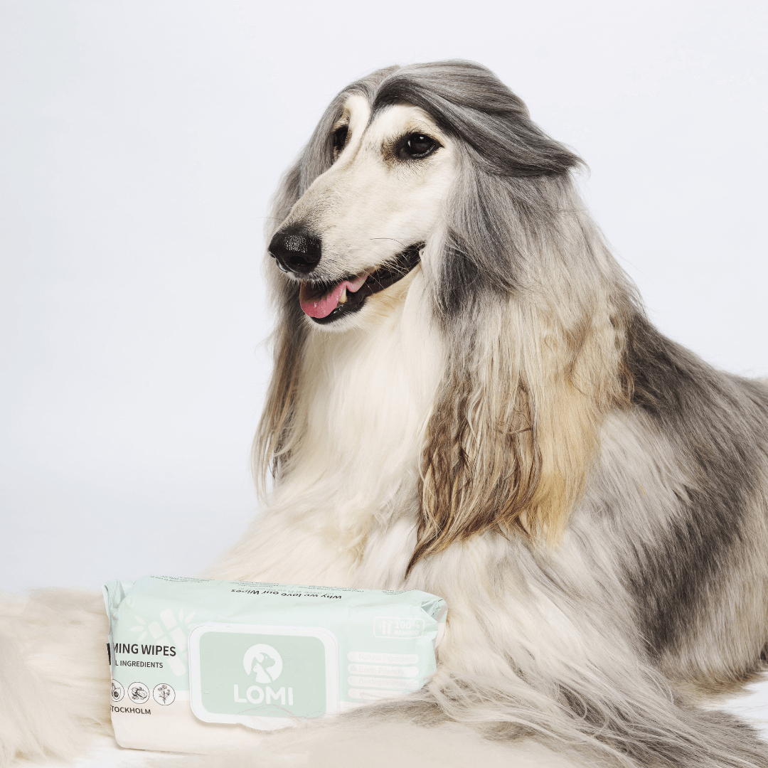 Aloe Vera & Chamomile wet wipes for Dogs & Cats - Premium Size