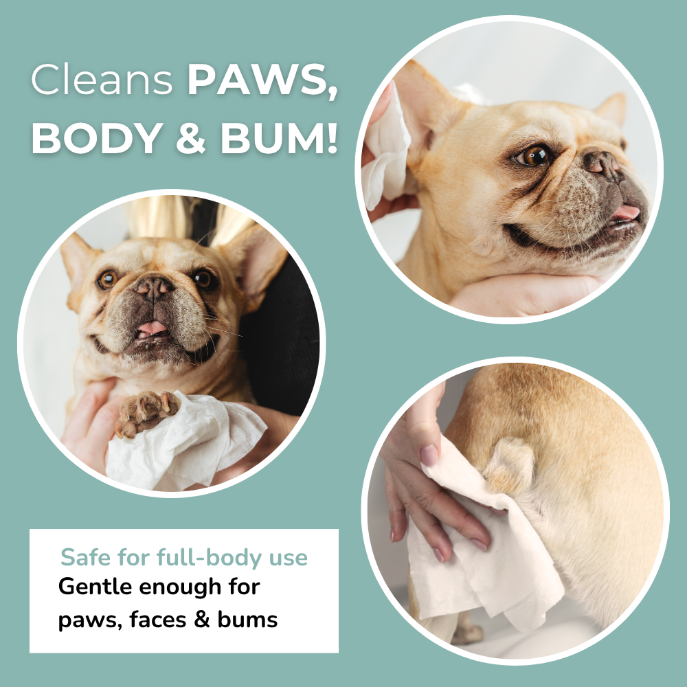 Aloe Vera & Chamomile wet wipes for Dogs & Cats - Premium Size