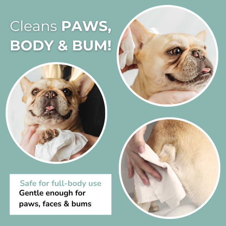 Aloe Vera & Chamomile wet wipes for Dogs & Cats - Premium Size