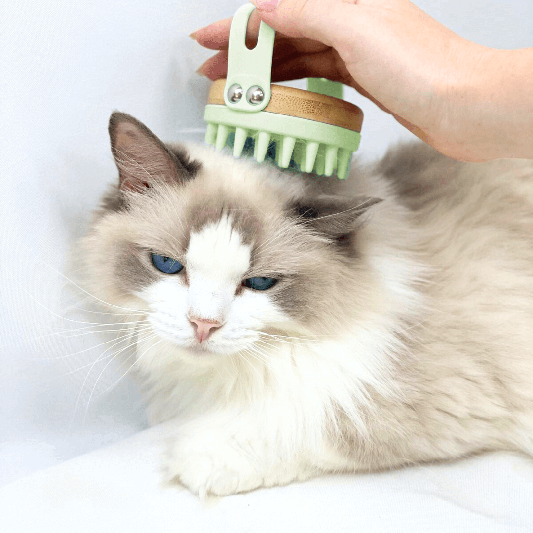 EcoZen- Bamboo brush for dog & cat