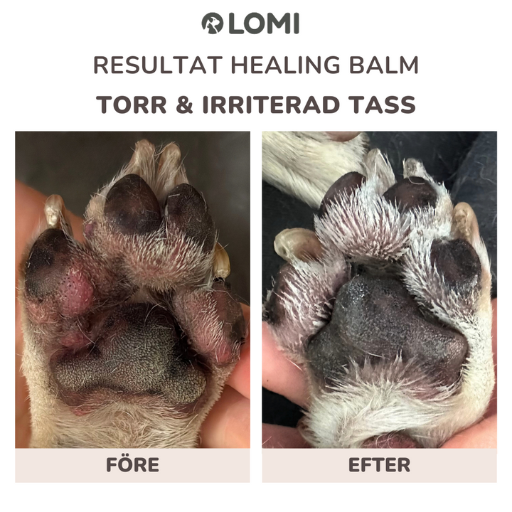 Healing Balm - Naturlig Tassalva för Hund & Katt