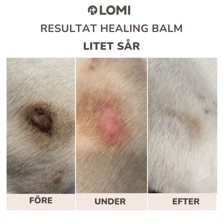 Healing Balm - Naturlig Tassalva för Hund & Katt