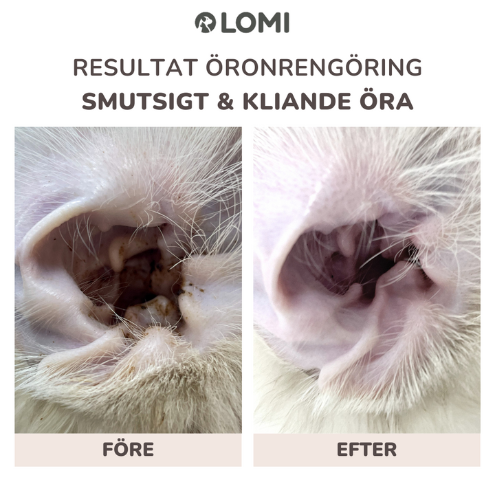 Natural ear cleaner for dogs and cats 