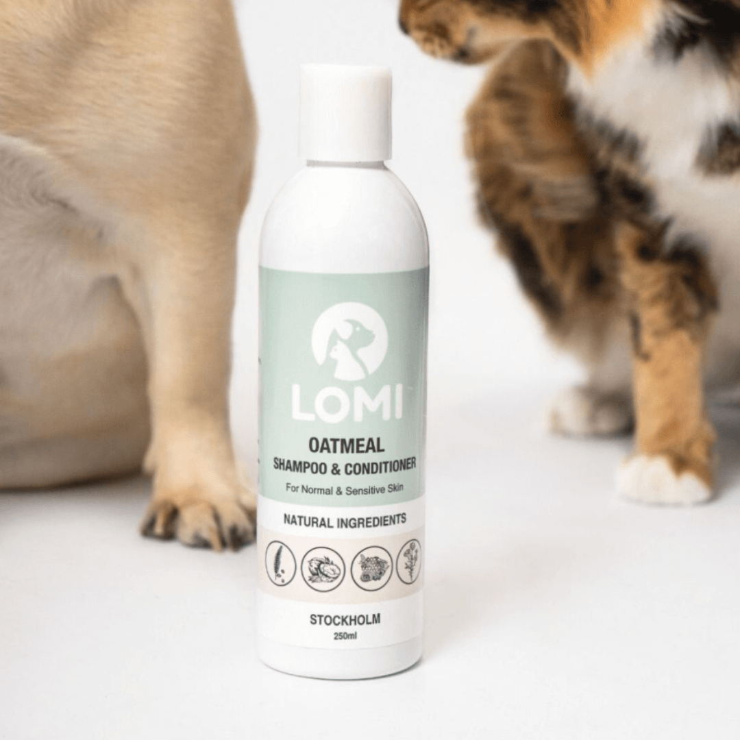 Gentle oat-based dog shampoo & conditioner