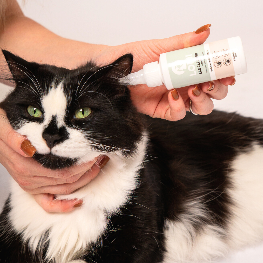 Natural ear cleaner for dogs and cats 