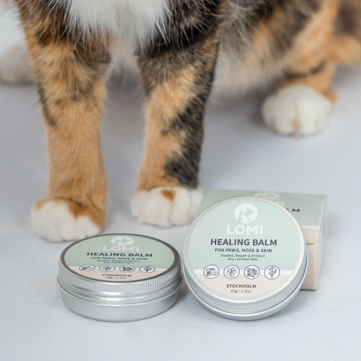 Healing Balm - Natural Healing Balm for Dogs & Cats