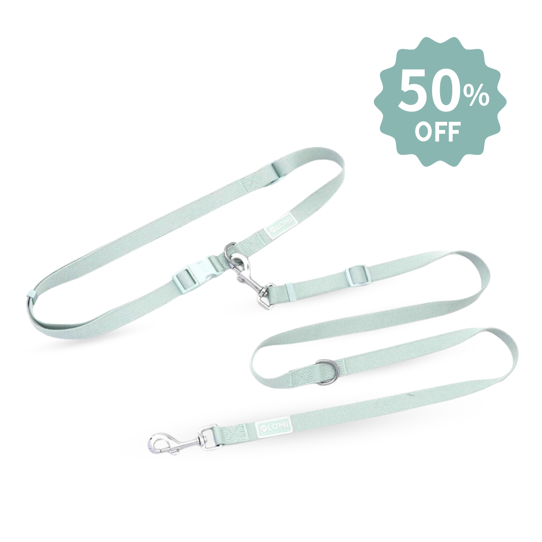 Hands-free Hundkoppel