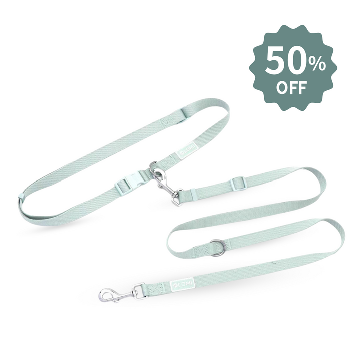 EcoMulti Dog Leash