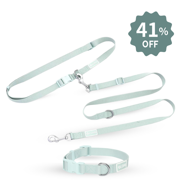 Hundhalsband & Multikoppel Set EcoComfort