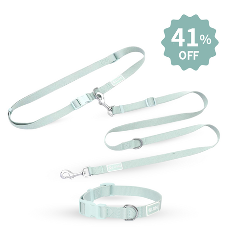 EcoComfort Hundhalsband & Multikoppel Set