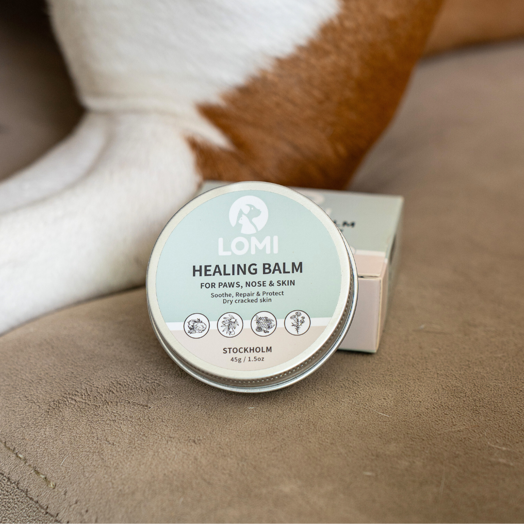 Healing Balm - Naturlig Tassalva för Hund & Katt