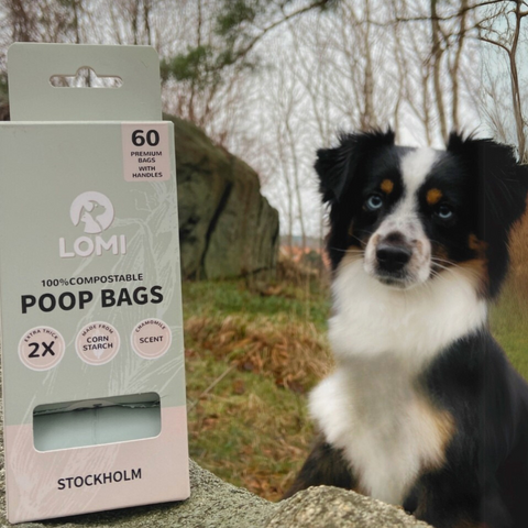 ENVIRONMENTALLY FRIENDLY DOG POOP BAGS 