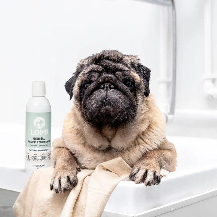 Gentle natural oat-based dog shampoo & conditioner